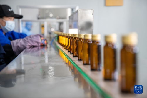 生态经济助力中国林都转型发展 技术服务驱动绿色崛起